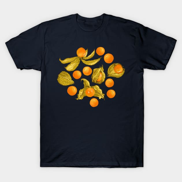 Physalis - Golden berries on light yellow T-Shirt by kobyakov